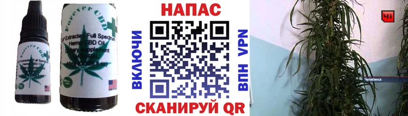 Canna-Cookies конопля  Вытегра 