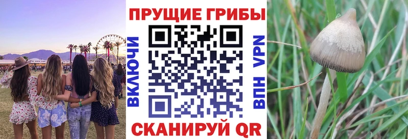 Псилоцибиновые грибы ЛСД  Вытегра 